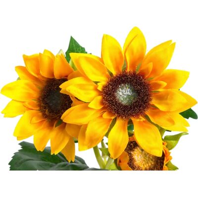 BOTANIC-HAUS - Sonnenblume - Ø12 cm - Artificial flower BOTANIC-HAUS - Sonnenblume - Ø12 cm - Artificial flower