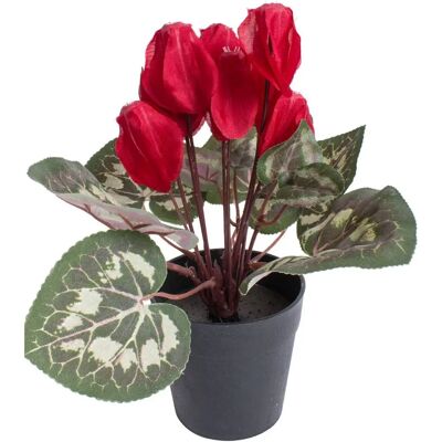 BOTANIC-HAUS - Alpenveilchen - Ø20cm - Artificial plant BOTANIC-HAUS - Alpenveilchen - Ø20cm - Artificial plant