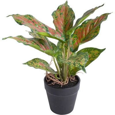 BOTANIC-HAUS - Caladium - Ø 24 cm - multicolor - Kunstpflanze BOTANIC-HAUS - Caladium - Ø 24 cm - multicolor - Kunstpflanze