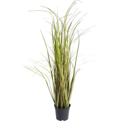 BOTANIC-HAUS - Grasarrangement Arusha - Ø35 cm x 75 cm - Multicolor - Dekoratives Grasarrangement BOTANIC-HAUS - Grasarrangement Arusha - Ø35 cm x 75 cm - Multicolor - Dekoratives Grasarrangement