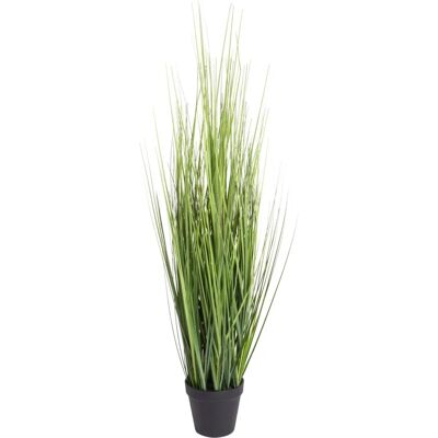BOTANIC-HAUS Festuca Künstliche Pflanze - Innen Dekoration BOTANIC-HAUS Festuca Künstliche Pflanze - Innen Dekoration