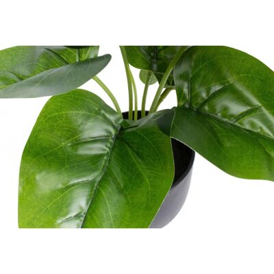 BOTANIC-HAUS Philodendron Kunstpflanze - Ø 28cm, Höhe 24cm BOTANIC-HAUS Philodendron Kunstpflanze - Ø 28cm, Höhe 24cm