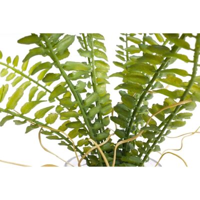 BOTANIC-HAUS Farn im Glas Künstliche Pflanze - Innendekoration BOTANIC-HAUS Farn im Glas Künstliche Pflanze - Innendekoration