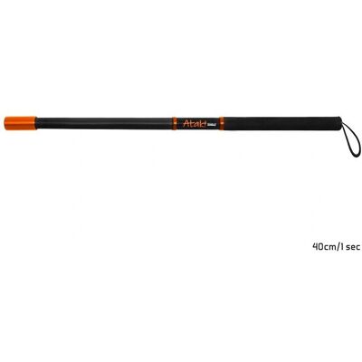 Delphin ATAK! SINGLE - 90 cm - carbon fiber - net handle - Publicité Delphin ATAK! SINGLE - 90 cm - carbon fiber - net handle - Publicité