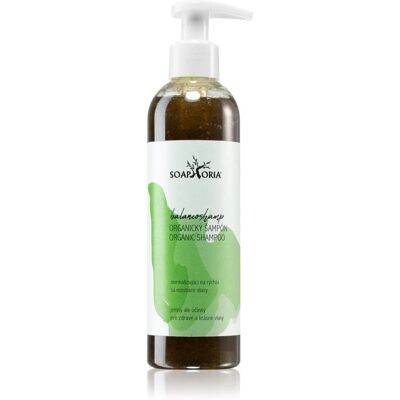 Soaphoria Hair Care Organic Shampoo - Nourishes & Clarifies for Oily Hair Soaphoria Hair Care Organic Shampoo - Nourishes & Clarifies for Oily Hair
