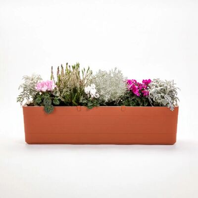 Plastia Hrantík Berberis terracotta beżowa 60cm - Doniczka na balkon Plastia Hrantík Berberis terracotta beżowa 60cm - Doniczka na balkon