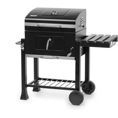 FIELDMANN FZG 1108 Holzkohlegrill - Grill FIELDMANN FZG 1108 Holzkohlegrill - Grill
