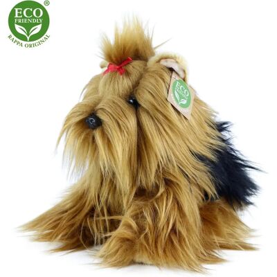 Rappa Yorkshire Terrier Pluszak - Ekologiczny - 23cm Rappa Yorkshire Terrier Pluszak - Ekologiczny - 23cm