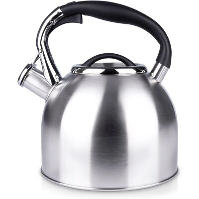 Czajnik ze stali nierdzewnej Orion Darek - 2,7L - Do wszystkich kuchenek Czajnik ze stali nierdzewnej Orion Darek - 2,7L - Do wszystkich kuchenek