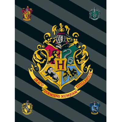 Plaid en polaire avec logo Harry Potter - Plaid - Publicité Plaid en polaire avec logo Harry Potter - Plaid - Publicité