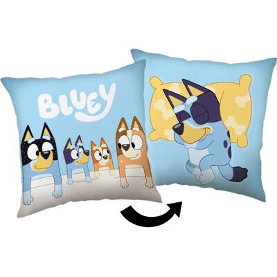 Bluey Uni Tyyny - Sisustustyyny Bluey Uni Tyyny - Sisustustyyny