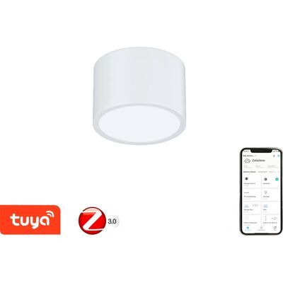 LED stropní svítidlo Immax Neo 07024L-15 - Chytré, Dimmable, Bílá LED stropní svítidlo Immax Neo 07024L-15 - Chytré, Dimmable, Bílá