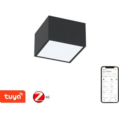 Immax Neo 07074L-15 LED Deckenleuchte - Dimmbar, Schwarz Immax Neo 07074L-15 LED Deckenleuchte - Dimmbar, Schwarz