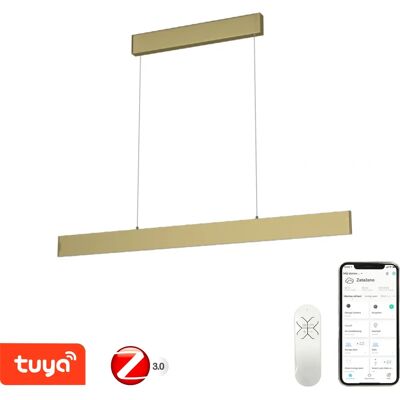 Immax Neo Model 07128L Zlaté Dimmable LED Stropní Světlo - Vnitřní Použití Immax Neo Model 07128L Zlaté Dimmable LED Stropní Světlo - Vnitřní Použití