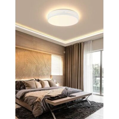 Immax Smart LED Deckenleuchte - 24W, Farbtemperatur Einstellbar, Fernbedienung Immax Smart LED Deckenleuchte - 24W, Farbtemperatur Einstellbar, Fernbedienung