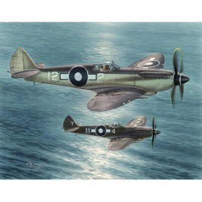 Special Hobby Supermarine Seafire F Mk.XV - Maquette en échelle 1/48 - Publicité Special Hobby Supermarine Seafire F Mk.XV - Maquette en échelle 1/48 - Publicité