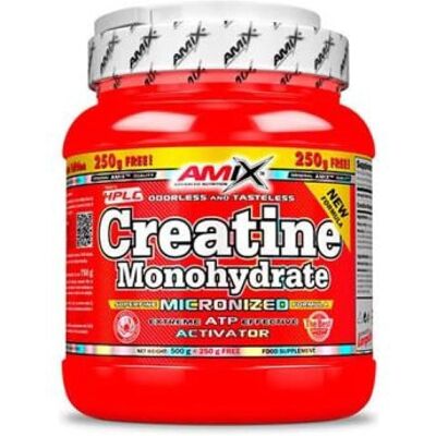 Amix Nutrition Creatina Monohidratada - 750g Suplemento Micronizado Amix Nutrition Creatina Monohidratada - 750g Suplemento Micronizado