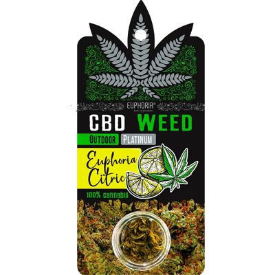 Platinum Outdoor Euforia Cytrusowa - Kwiaty CBD Platinum Outdoor Euforia Cytrusowa - Kwiaty CBD