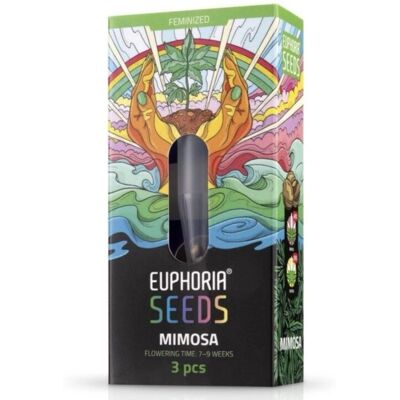 Euphoria Semi di Mimosa - Hybrid seed for collection - Seed Euphoria Semi di Mimosa - Hybrid seed for collection - Seed