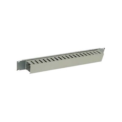 Accessorio rack Triton - Modello RAC-VP-X02-A1 - Pannello orizzontale 1U Accessorio rack Triton - Modello RAC-VP-X02-A1 - Pannello orizzontale 1U