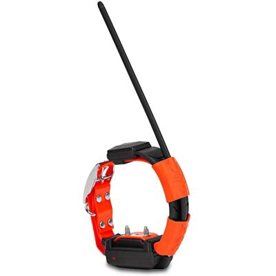 Dogtrace - DOG GPS X25T - Zielony - Obroża GPS - Rezerwowa Dogtrace - DOG GPS X25T - Zielony - Obroża GPS - Rezerwowa