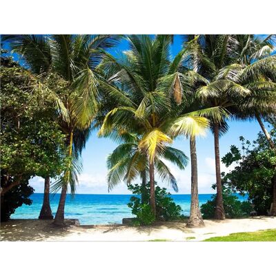 Agdesign - Tropical Beach Palms - 360x270cm Agdesign - Tropical Beach Palms - 360x270cm