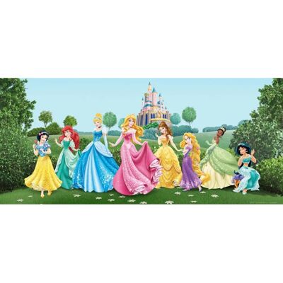 AG Design FTDh 0625 Murale princesse Disney - Décoration chambre enfant AG Design FTDh 0625 Murale princesse Disney - Décoration chambre enfant