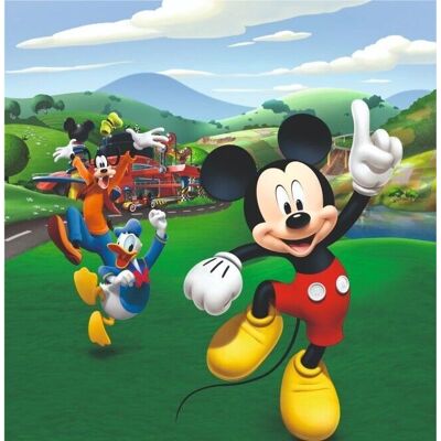 Papier Peint Mickey Mouse Donald Duck - 202x180 Cm - Décor Enfant - Publicité Papier Peint Mickey Mouse Donald Duck - 202x180 Cm - Décor Enfant - Publicité