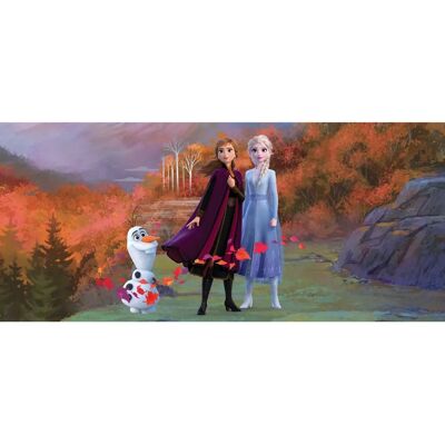 Murale Disney Agdesign - 202x90cm Affiche Frozen Chambre - Publicité Murale Disney Agdesign - 202x90cm Affiche Frozen Chambre - Publicité
