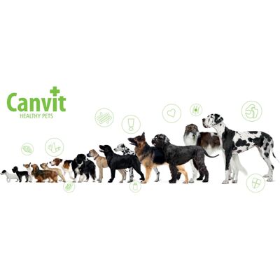 Canvit Dog Biotin 230g doplněk pro kůži a srst Canvit Dog Biotin 230g doplněk pro kůži a srst