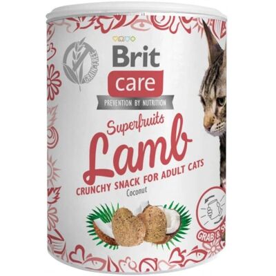 Brit Care Kissat Novelties Superfruits Lammas - Kissan herkkupala - 100 G Brit Care Kissat Novelties Superfruits Lammas - Kissan herkkupala - 100 G