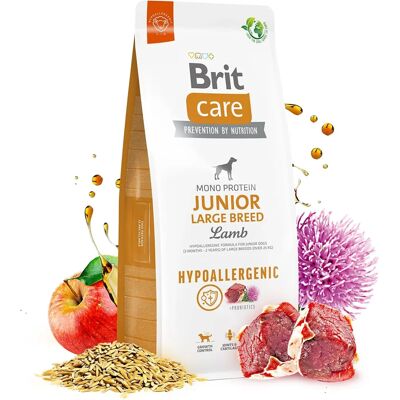 Brit Care Nourriture Sèche Agneau pour Grandes Races - 3 Kg - Publicité Brit Care Nourriture Sèche Agneau pour Grandes Races - 3 Kg - Publicité