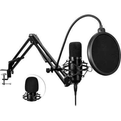 Connect IT CMI-9010-BK Schwarzes PC-Mikrofon - Popfilter, Verstellbarer Arm Connect IT CMI-9010-BK Schwarzes PC-Mikrofon - Popfilter, Verstellbarer Arm