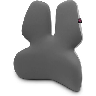Connect IT GamaPro Grau Rückenstütze - Lumbar pillow Connect IT GamaPro Grau Rückenstütze - Lumbar pillow