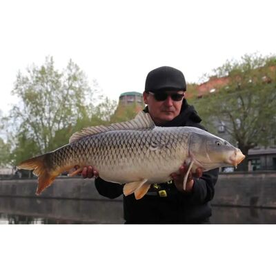 Mivardi Rapid Boilies Easy Catch 3300 g 20 mm Česnek + Chilli Boilies Mivardi Rapid Boilies Easy Catch 3300 g 20 mm Česnek + Chilli Boilies