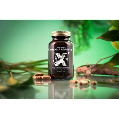 BrainMax Fadogia Agrestis 10:1 - Suplement BrainMax Fadogia Agrestis 10:1 - Suplement