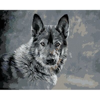 Sada malování šedým ZUTY - 40x50 cm - Umělecká sada Sada malování šedým ZUTY - 40x50 cm - Umělecká sada