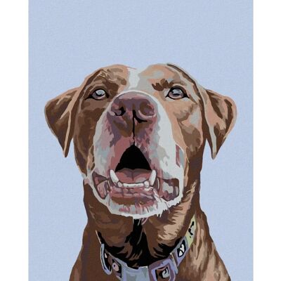 Zuty - HNĚDÝ LABRADOR - 40x50 cm - neoraný plátno - Diamond painting kit Zuty - HNĚDÝ LABRADOR - 40x50 cm - neoraný plátno - Diamond painting kit