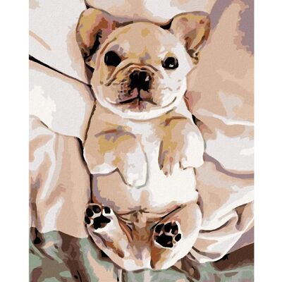 Zuty - Diamantové malování štěně buldočka - 40x50 cm - Diamantové malování sada Zuty - Diamantové malování štěně buldočka - 40x50 cm - Diamantové malování sada