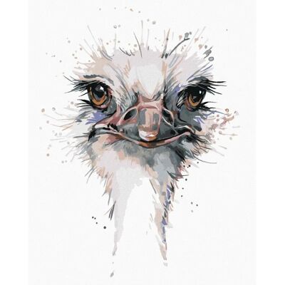 Zuty - Pštrosí hlava - 40x50 cm - vypnuté plátno na rám Zuty - Pštrosí hlava - 40x50 cm - vypnuté plátno na rám