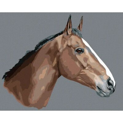 Zuty - Diamantové malování - Brown horse - 40x50 cm Zuty - Diamantové malování - Brown horse - 40x50 cm