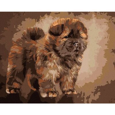 Zuty - Štěňátko Chow Chow - 40x50 cm - Diamond painting Zuty - Štěňátko Chow Chow - 40x50 cm - Diamond painting