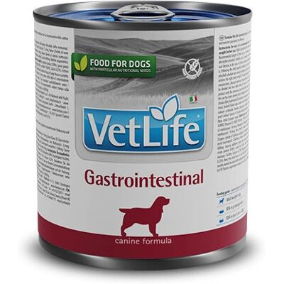 Farmina Vet Life Gastrointestinal 300 g - Lemmikkieläinruoka Farmina Vet Life Gastrointestinal 300 g - Lemmikkieläinruoka