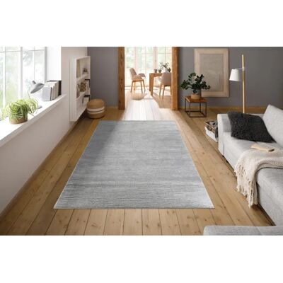 Home affaire Ariano Grau Teppich - Vintage, Hoch-Tief-Struktur, 60x90cm Home affaire Ariano Grau Teppich - Vintage, Hoch-Tief-Struktur, 60x90cm