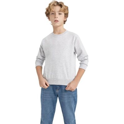 DEFACTO Ragazzo Regular Fit Girocollo Felpa - Felpa DEFACTO Ragazzo Regular Fit Girocollo Felpa - Felpa