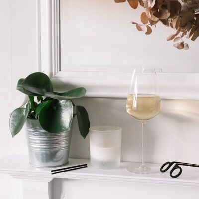 Verre de Champagne Grand Cru Stem Zero de Nude Glass - Cristal sans plomb - Publicité Verre de Champagne Grand Cru Stem Zero de Nude Glass - Cristal sans plomb - Publicité