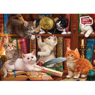 Anatolian Katzen Puzzle in der Bibliothek - 500 Teile Puzzle Anatolian Katzen Puzzle in der Bibliothek - 500 Teile Puzzle