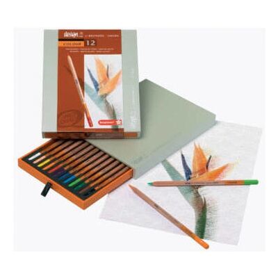 Artexport Wielokolorowy Zestaw Kredki 12 - Kredki Artexport Wielokolorowy Zestaw Kredki 12 - Kredki