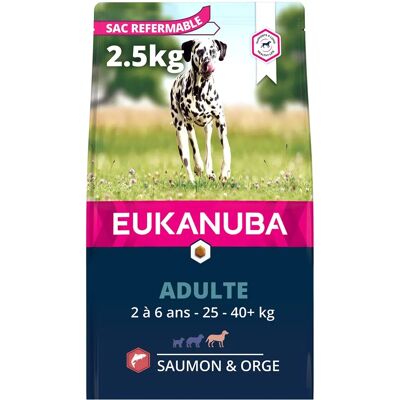 Croquettes pour chiens de grande race au saumon et orge - 2,5kg - Publicité Croquettes pour chiens de grande race au saumon et orge - 2,5kg - Publicité