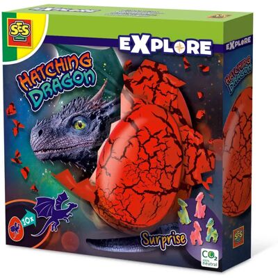 SES Creative Explorer 25120 Jouet Science Enfants - Oeuf, Plastique SES Creative Explorer 25120 Jouet Science Enfants - Oeuf, Plastique